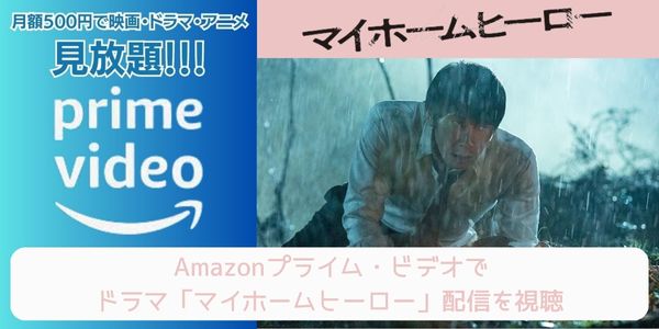 マイホームヒーロー amazon